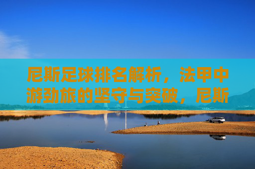 尼斯足球排名解析，法甲中游劲旅的坚守与突破，尼斯足球排名解析，法甲中游劲旅的坚守与突破