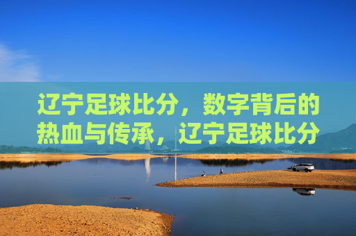 辽宁足球比分,数字背后的热血与传承,辽宁足球比分,数字背后的热血传承