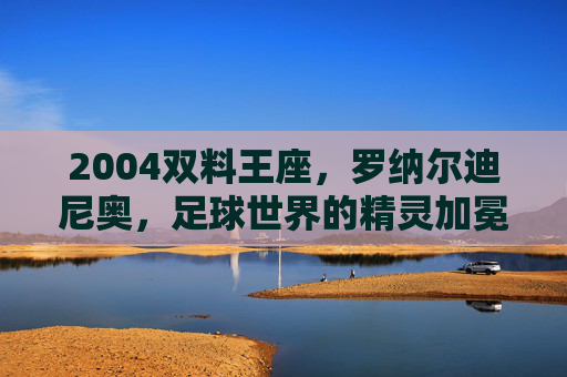 2004双料王座,罗纳尔迪尼奥,足球世界的精灵加冕,2004双料王座,罗纳尔迪尼奥加冕足球精灵