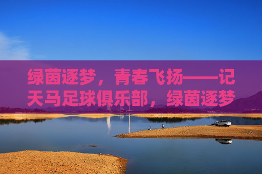 绿茵逐梦，青春飞扬——记天马足球俱乐部，绿茵逐梦，青春飞扬——天马足球俱乐部