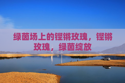绿茵场上的铿锵玫瑰，铿锵玫瑰，绿茵绽放