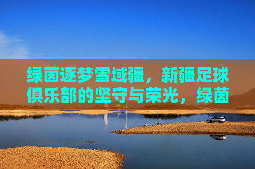 绿茵逐梦雪域疆，新疆足球俱乐部的坚守与荣光，绿茵逐梦雪域疆，新疆足球的坚守与荣光