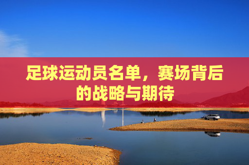 足球运动员名单,赛场背后的战略与期待