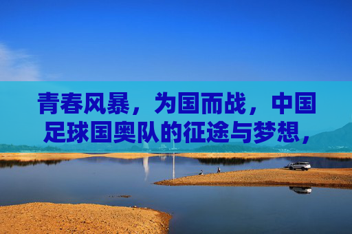 青春风暴，为国而战，中国足球国奥队的征途与梦想，青春风暴为国而战，中国足球国奥队的征途与梦想