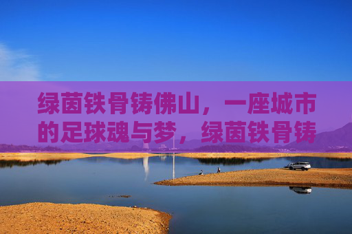 绿茵铁骨铸佛山,一座城市的足球魂与梦,绿茵铁骨铸佛山足球魂梦
