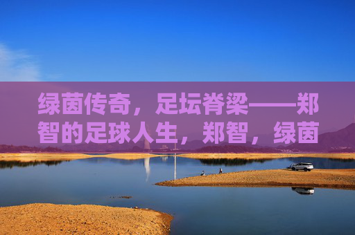 绿茵传奇,足坛脊梁——郑智的足球人生,郑智,绿茵传奇,足坛脊梁