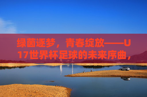 绿茵逐梦，青春绽放——U17世界杯足球的未来序曲，U17世界杯，青春逐梦，绿茵启未来