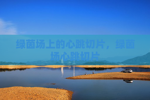 绿茵场上的心跳切片,绿茵场心跳切片