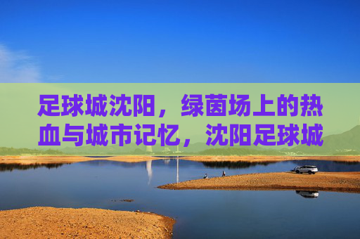 足球城沈阳,绿茵场上的热血与城市记忆,沈阳足球城,绿茵热血与城市记忆