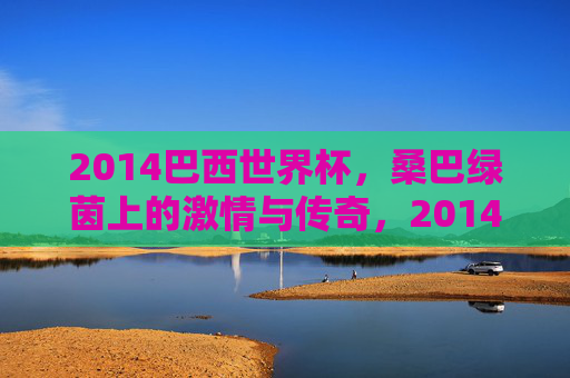 2014巴西世界杯，桑巴绿茵上的激情与传奇，2014巴西世界杯，桑巴绿茵的激情与传奇