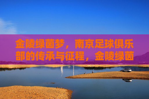 金陵绿茵梦,南京足球俱乐部的传承与征程,金陵绿茵梦,南京足球俱乐部的传承征程