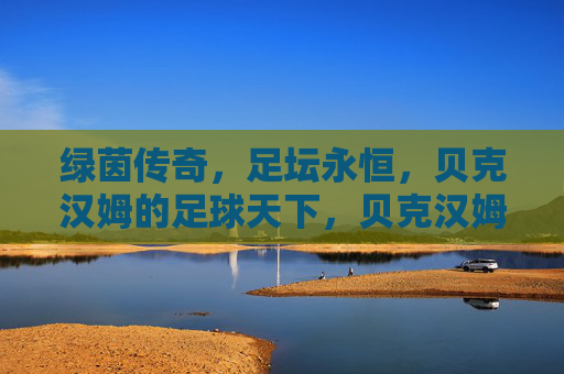 绿茵传奇,足坛永恒,贝克汉姆的足球天下,贝克汉姆,绿茵传奇,足坛永恒