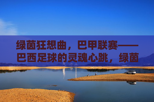 绿茵狂想曲,巴甲联赛——巴西足球的灵魂心跳,绿茵狂想曲,巴甲联赛,巴西足球的灵魂心跳