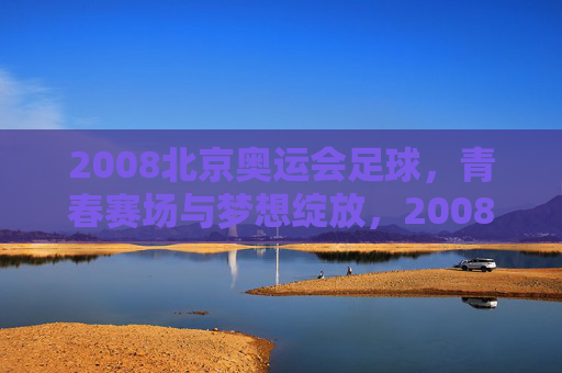 2008北京奥运会足球,青春赛场与梦想绽放,2008北京奥运足球,青春赛场与梦想绽放