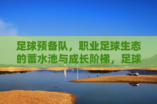 足球预备队,职业足球生态的蓄水池与成长阶梯,足球预备队,职业足球生态的蓄水池与成长阶梯