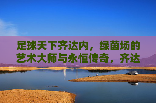 足球天下齐达内，绿茵场的艺术大师与永恒传奇，齐达内，绿茵场艺术大师与永恒传奇