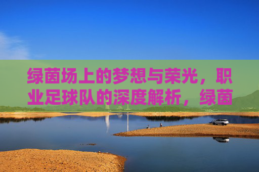 绿茵场上的梦想与荣光,职业足球队的深度解析,绿茵场上的梦想与荣光,职业足球队深度解析