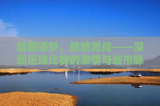绿茵逐梦，鹏城激战——深圳足球比赛的激情与城市脉搏，鹏城绿茵脉动，足球激情与城市心跳