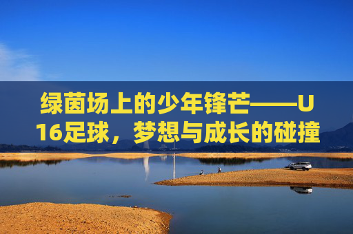 绿茵场上的少年锋芒——U16足球,梦想与成长的碰撞,U16少年锋芒,绿茵场上的梦想与成长