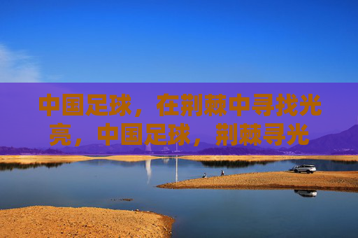 中国足球，在荆棘中寻找光亮，中国足球，荆棘寻光