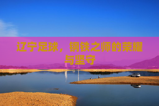 辽宁足球,钢铁之师的荣耀与坚守