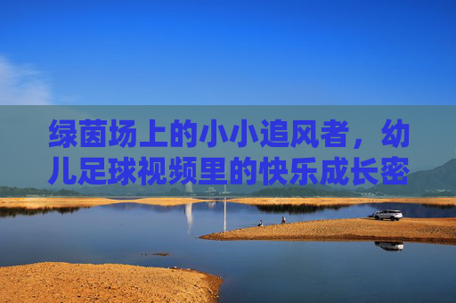 绿茵场上的小小追风者,幼儿足球视频里的快乐成长密码,小小追风者,绿茵场上的快乐成长密码