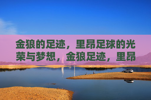 金狼的足迹,里昂足球的光荣与梦想,金狼足迹,里昂足球的光荣与梦想