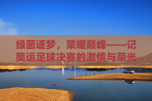 绿茵逐梦，荣耀巅峰——记奥运足球决赛的激情与荣光，绿茵逐梦，奥运足球决赛荣耀巅峰