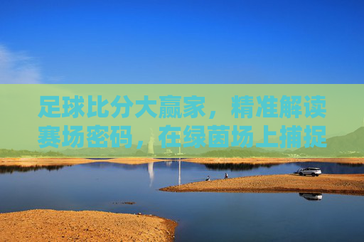 足球比分大赢家，精准解读赛场密码，在绿茵场上捕捉赢的密码，足球比分大赢家，精准解读赛场赢的密码