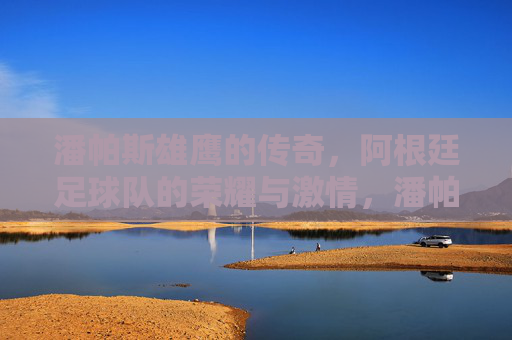 潘帕斯雄鹰的传奇，阿根廷足球队的荣耀与激情，潘帕斯雄鹰的传奇，阿根廷足球队的荣耀与激情