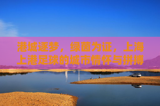 港城逐梦，绿茵为证，上海上港足球的城市情怀与拼搏之路，港城绿茵证，上海上港的城市情怀与拼搏之路