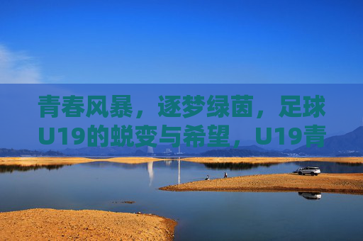 青春风暴，逐梦绿茵，足球U19的蜕变与希望，U19青春风暴，逐梦绿茵的蜕变与希望