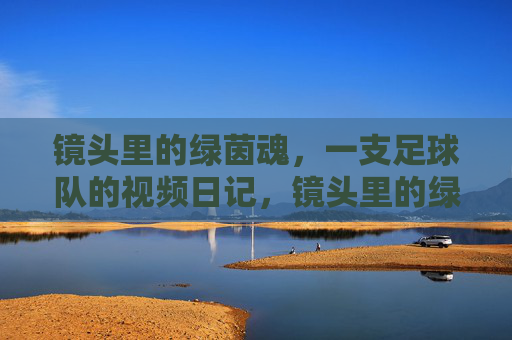 镜头里的绿茵魂，一支足球队的视频日记，镜头里的绿茵魂，足球队日记