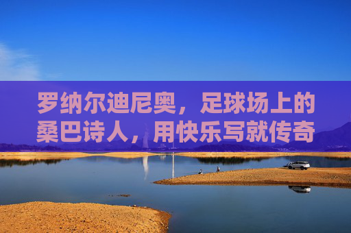 罗纳尔迪尼奥,足球场上的桑巴诗人,用快乐写就传奇,桑巴诗人的快乐传奇