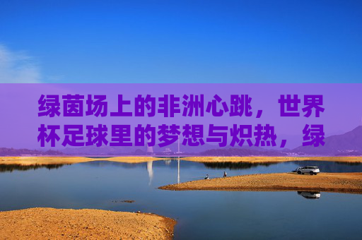 绿茵场上的非洲心跳,世界杯足球里的梦想与炽热,绿茵脉动,非洲心跳里的世界杯炽梦