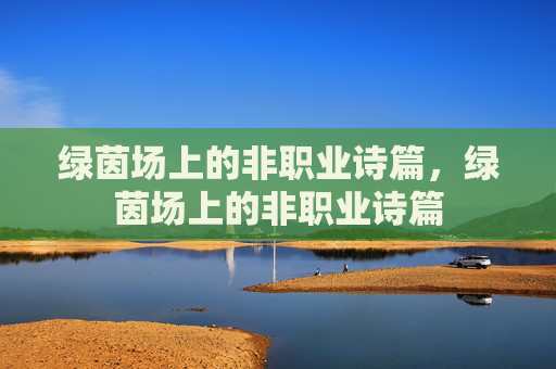 绿茵场上的非职业诗篇，绿茵场上的非职业诗篇
