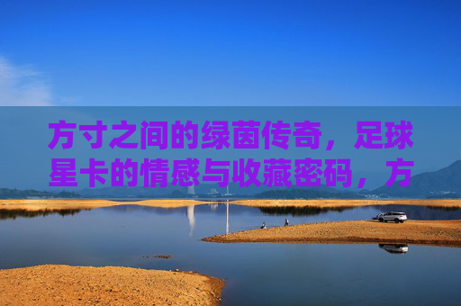 方寸之间的绿茵传奇,足球星卡的情感与收藏密码,方寸绿茵传奇,足球星卡的情感收藏密码