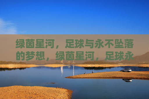 绿茵星河，足球与永不坠落的梦想，绿茵星河，足球永不坠落的梦想