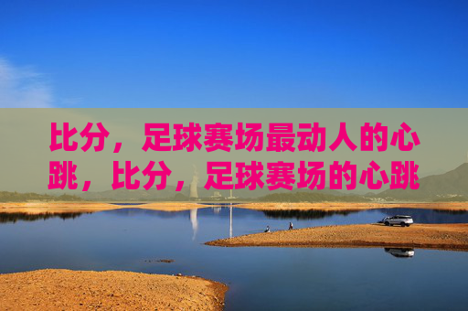 比分,足球赛场最动人的心跳,比分,足球赛场的心跳