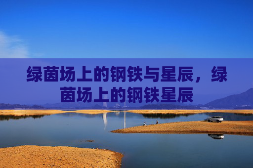 绿茵场上的钢铁与星辰，绿茵场上的钢铁星辰