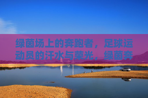 绿茵场上的奔跑者，足球运动员的汗水与荣光，绿茵奔跑者，汗水铸就荣光