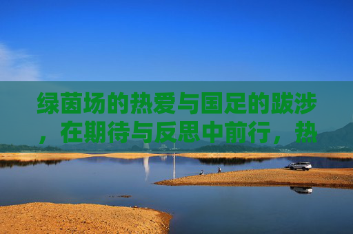 绿茵场的热爱与国足的跋涉,在期待与反思中前行,热爱与跋涉,国足在期待与反思中前行