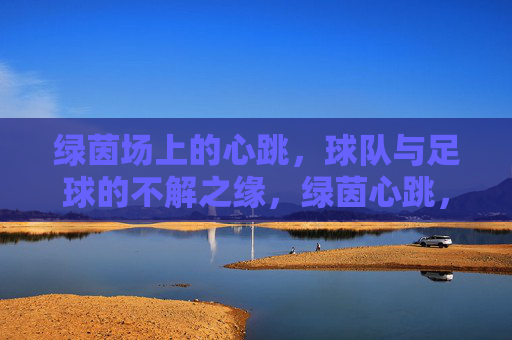 绿茵场上的心跳，球队与足球的不解之缘，绿茵心跳，球队与足球的不解之缘