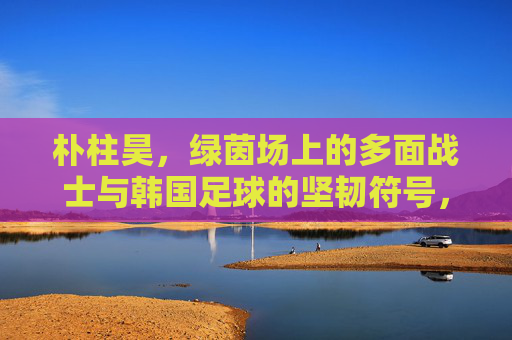 朴柱昊,绿茵场上的多面战士与韩国足球的坚韧符号,朴柱昊,韩国足球的多面战士与坚韧符号