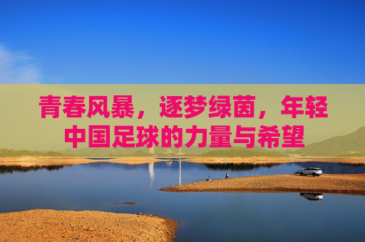 青春风暴,逐梦绿茵,年轻中国足球的力量与希望