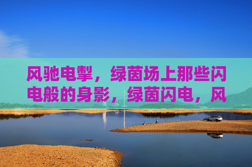 风驰电掣，绿茵场上那些闪电般的身影，绿茵闪电，风驰电掣的身影