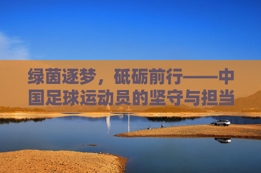 绿茵逐梦，砥砺前行——中国足球运动员的坚守与担当，逐梦绿茵，砥砺前行，中国足球的坚守与担当