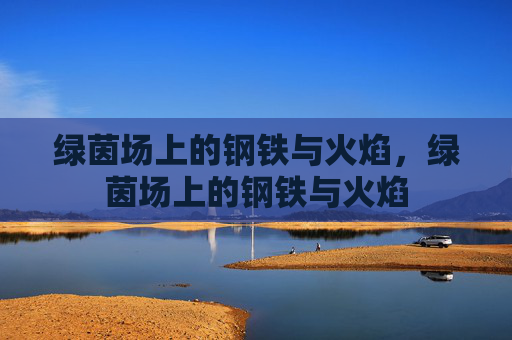 绿茵场上的钢铁与火焰,绿茵场上的钢铁与火焰