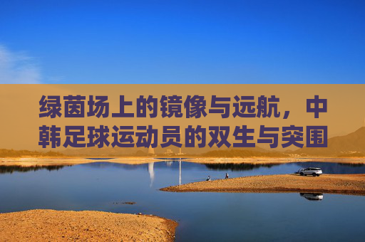 绿茵场上的镜像与远航，中韩足球运动员的双生与突围，绿茵镜像，中韩足球的双生突围