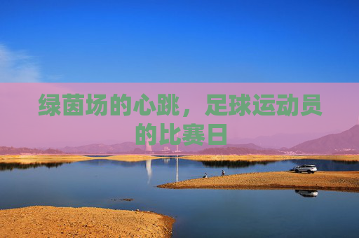 绿茵场的心跳,足球运动员的比赛日
